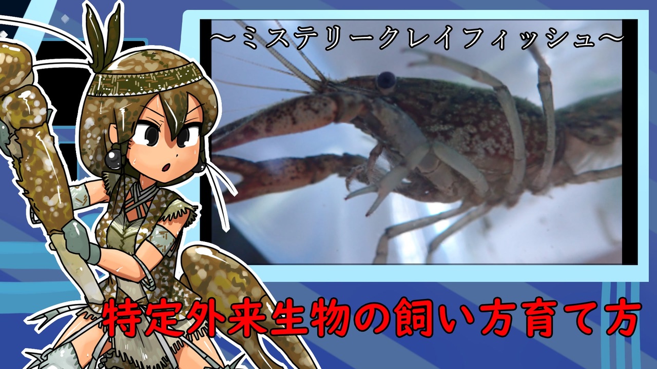 人気の 特定外来生物 動画 32本 ニコニコ動画