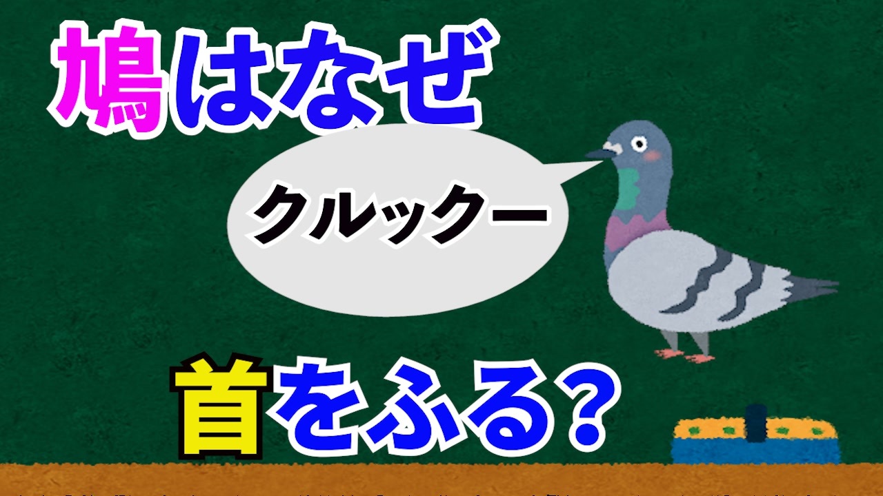 雑学６つ すごい ハトはなぜ首を振るのか などその他 トリビア ニコニコ動画