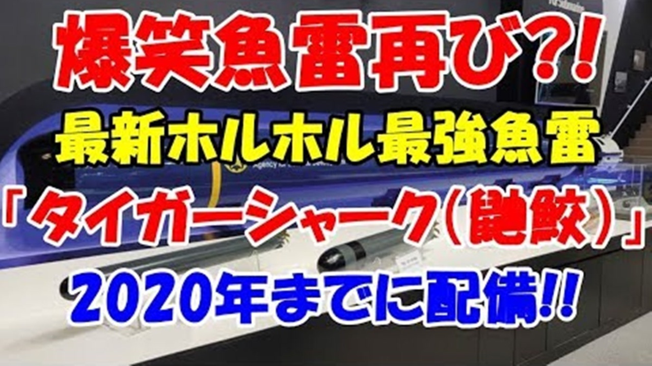 お笑い韓国軍の歴史 新型ホルホル最強誘導魚雷を年までに配備 またサビるんでしょ 19 11 1 ニコニコ動画