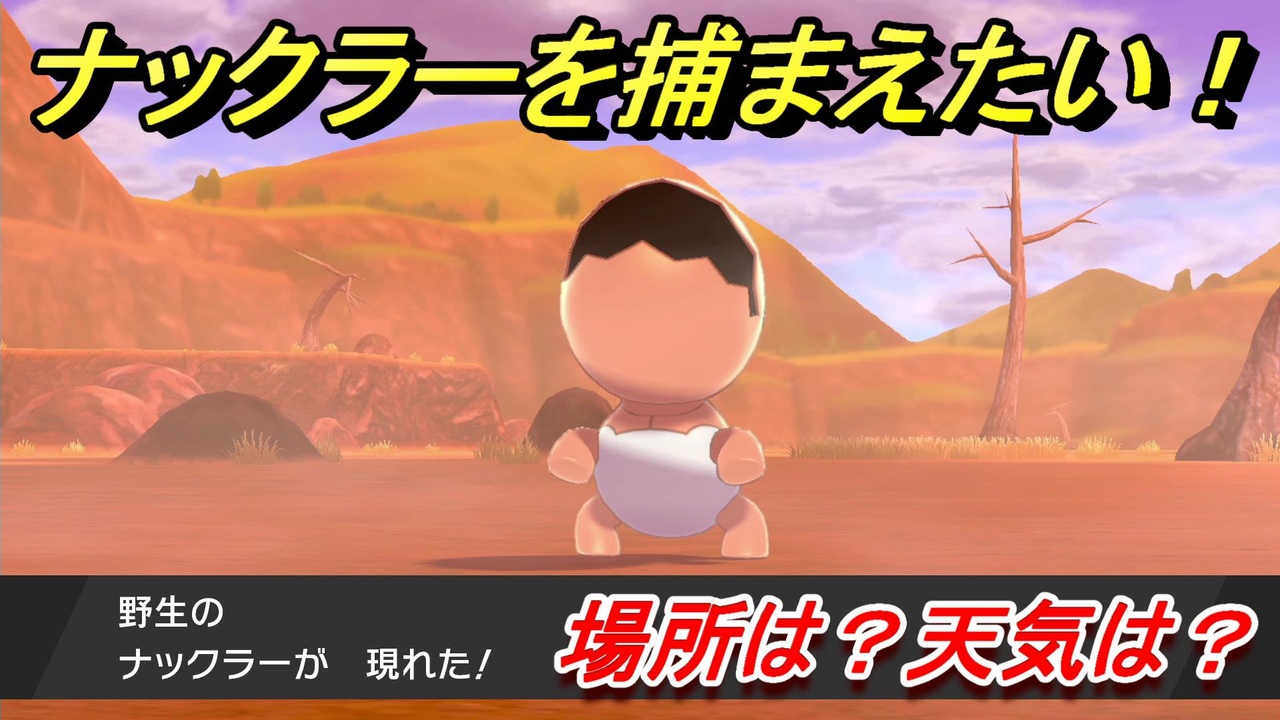 ポケモン剣盾 ナックラーを捕まえる方法 オススメの場所は 天気は ポケモン図鑑コンプへの道 ポケモンソード シールド ニコニコ動画