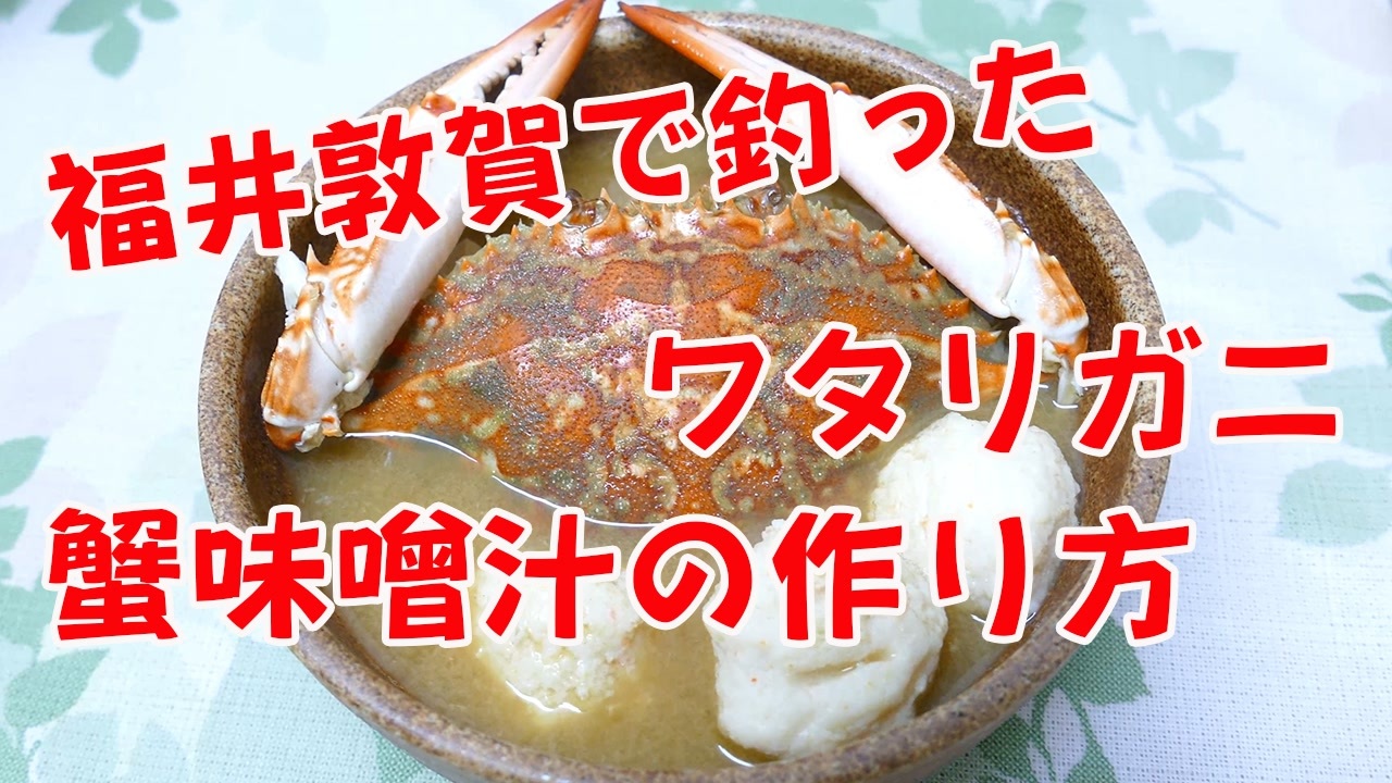 福井県敦賀で釣ったワタリガニの蟹味噌を使って 蟹味噌汁を作ってみた 絶品過ぎた ニコニコ動画