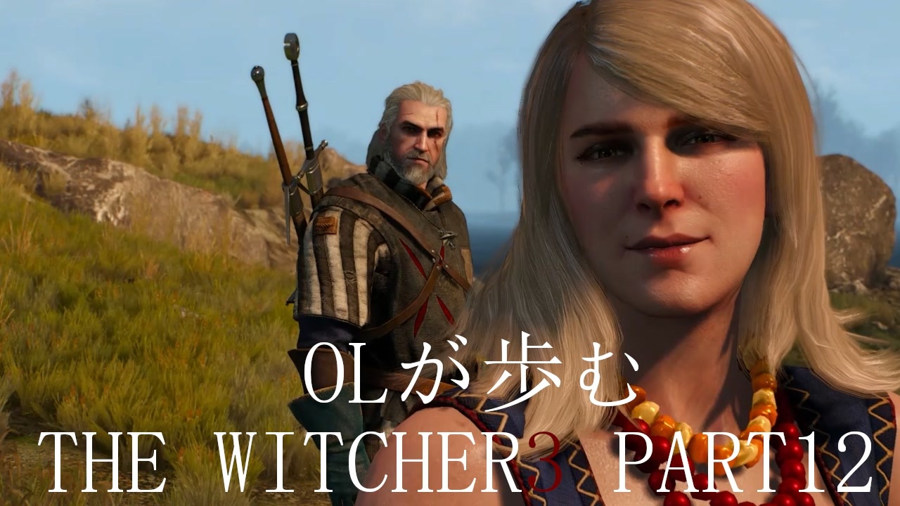 人気の Thewitcher3 動画 45本 ニコニコ動画