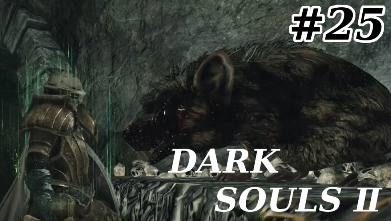 初見実況 ゲーム下手がダークソウル もクリアするまで その２５ Dark Souls ニコニコ動画