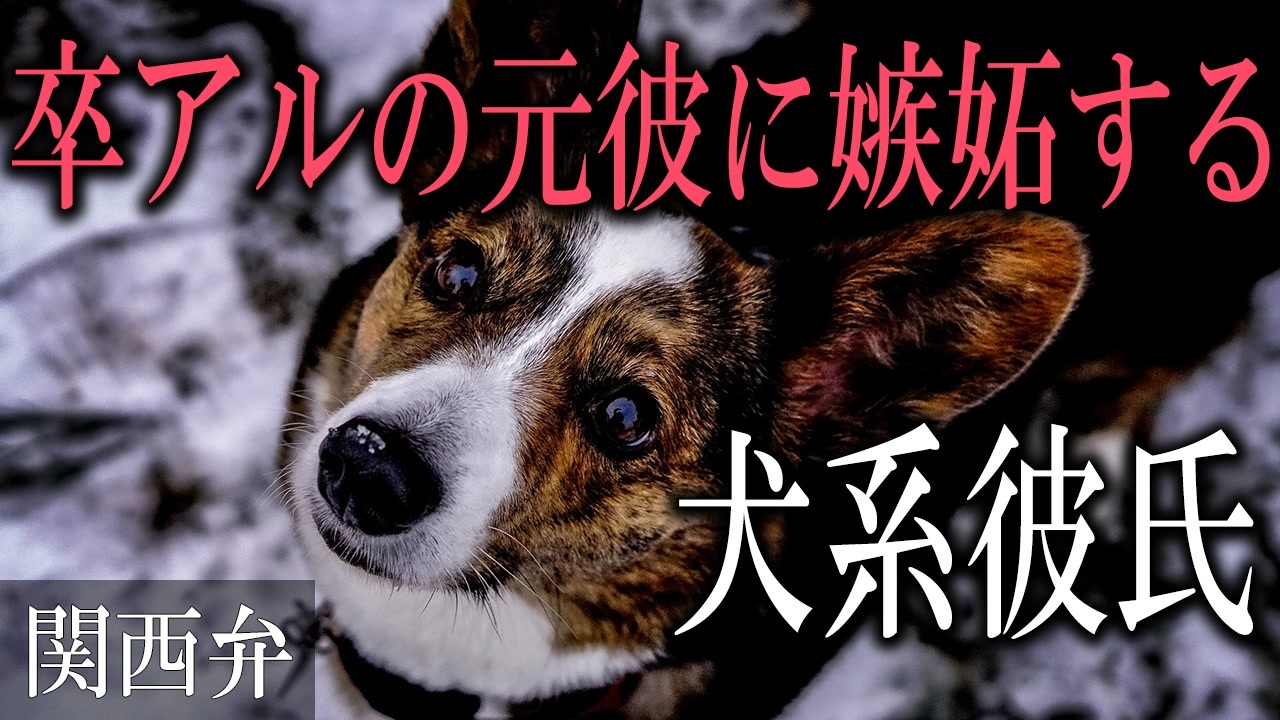 【女性向けボイス】関西弁で卒アルの元彼に嫉妬する犬系彼氏を読みました。【ASMR】 - ニコニコ動画