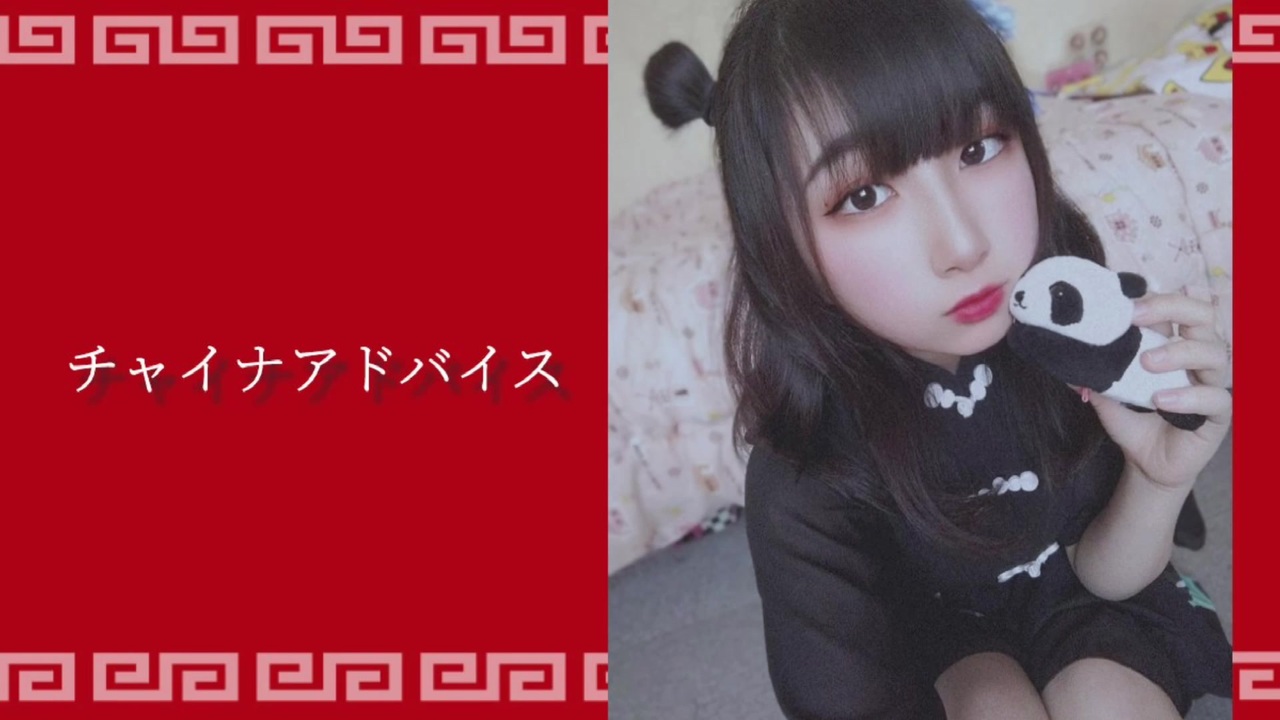 人気の チャイナアドバイス 動画 本 ニコニコ動画