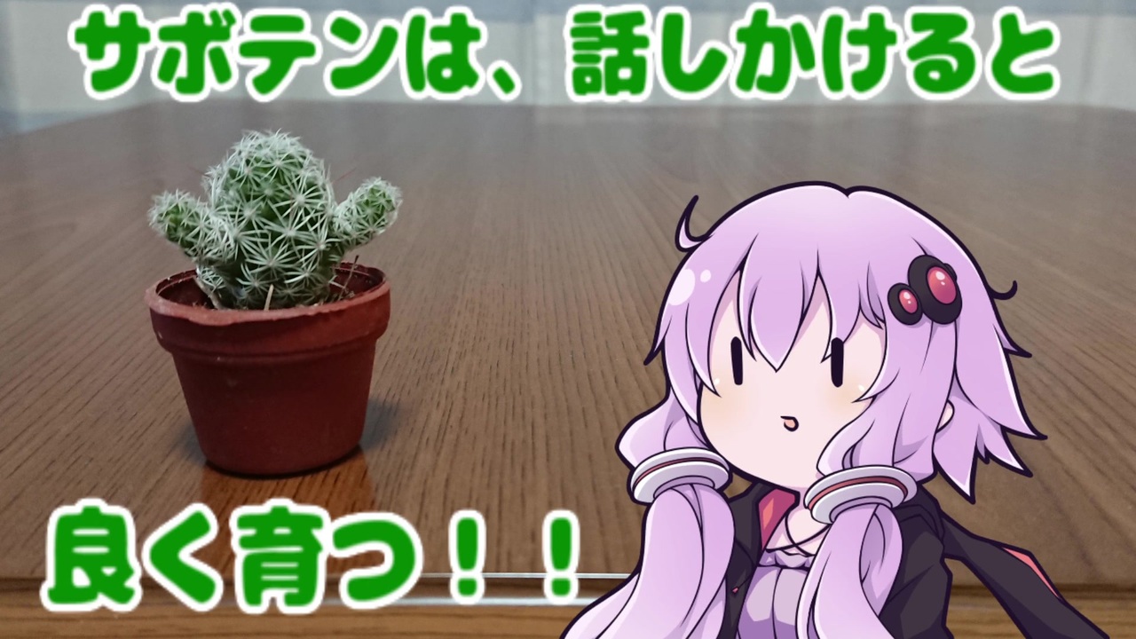 サボテンに話しかけるゆかりさん 理由 ニコニコ動画