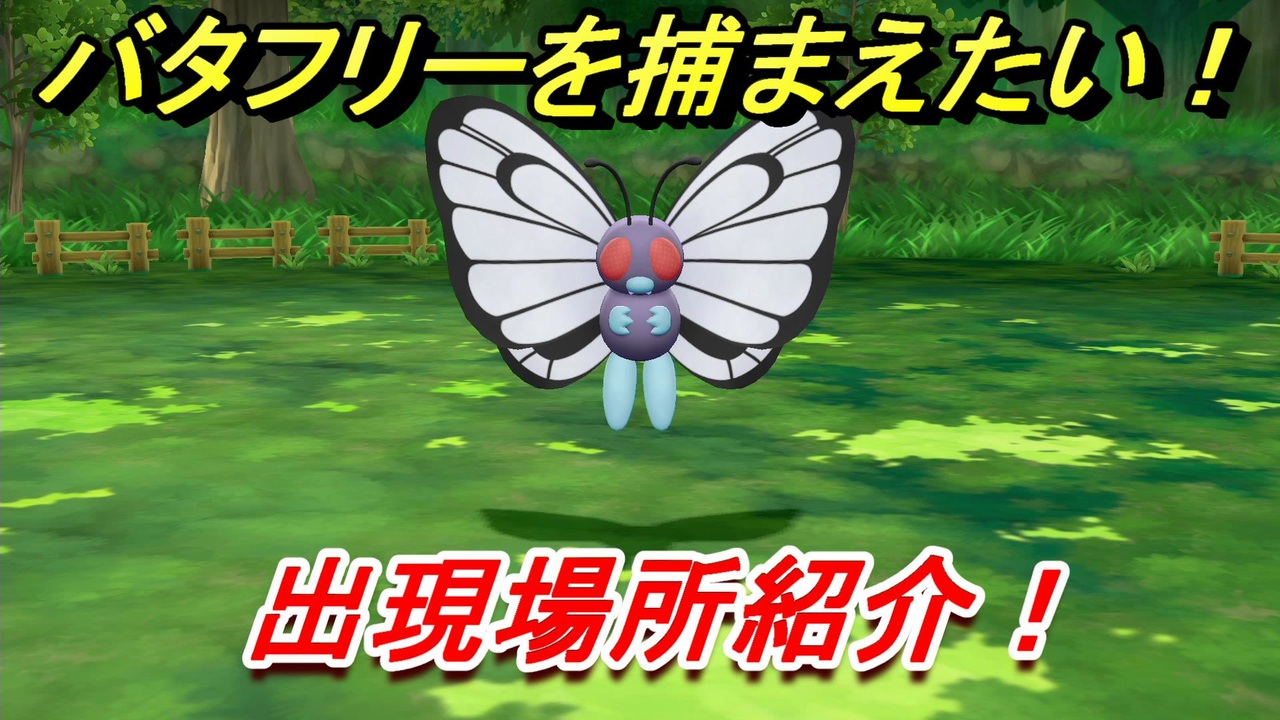 ポケモンピカブイ バタフリーを捕まえる方法 出現場所紹介 図鑑コンプへの道 ポケットモンスター Let S Go ピカチュウ イーブイ ニコニコ動画