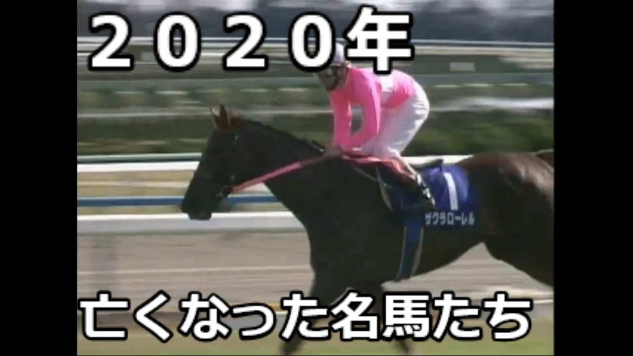 競馬 ２０２０年 亡くなった名馬たち ニコニコ動画