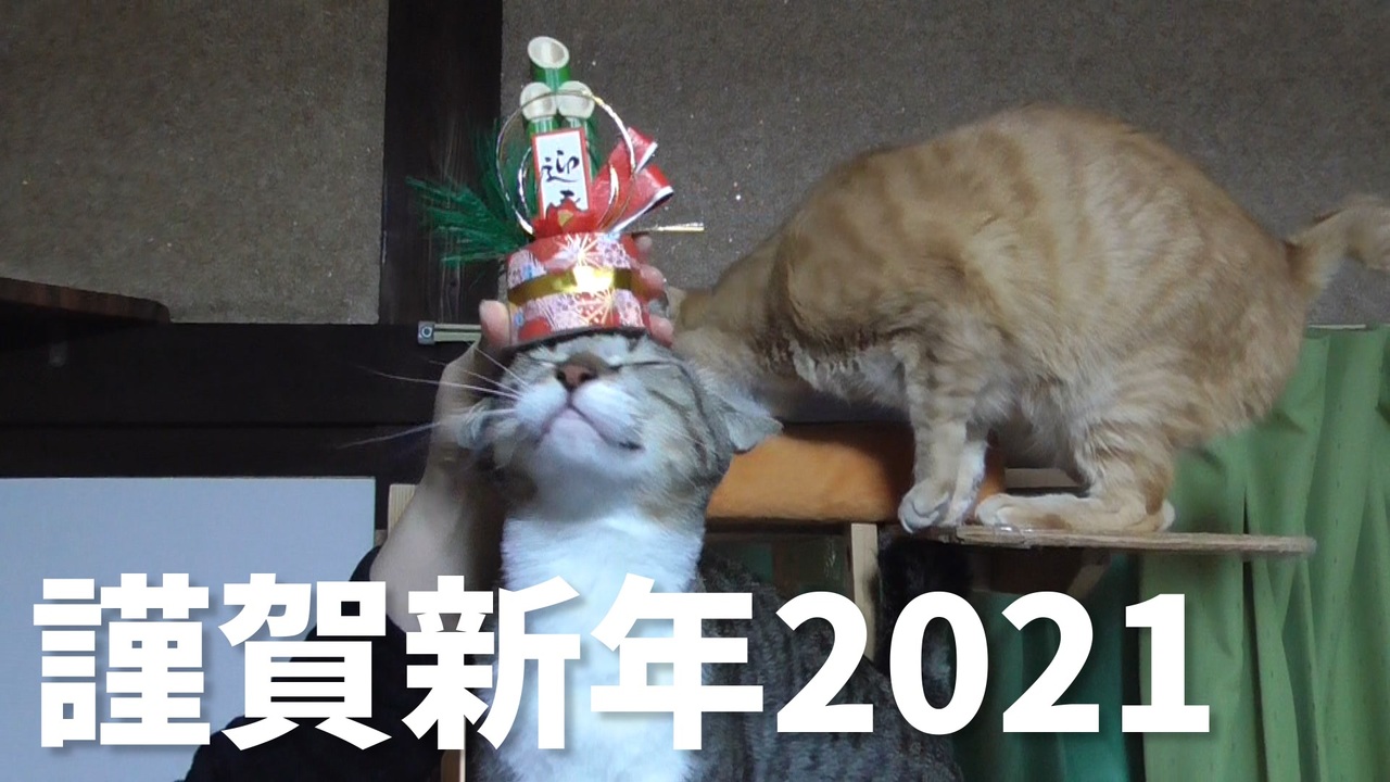 人気の バンザイ猫チャンネル 動画 1 329本 ニコニコ動画