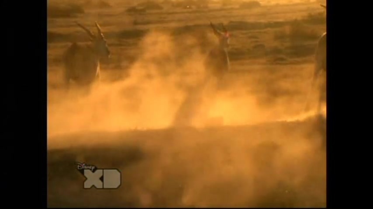 人気の ディズニーxd 動画 49本 ニコニコ動画