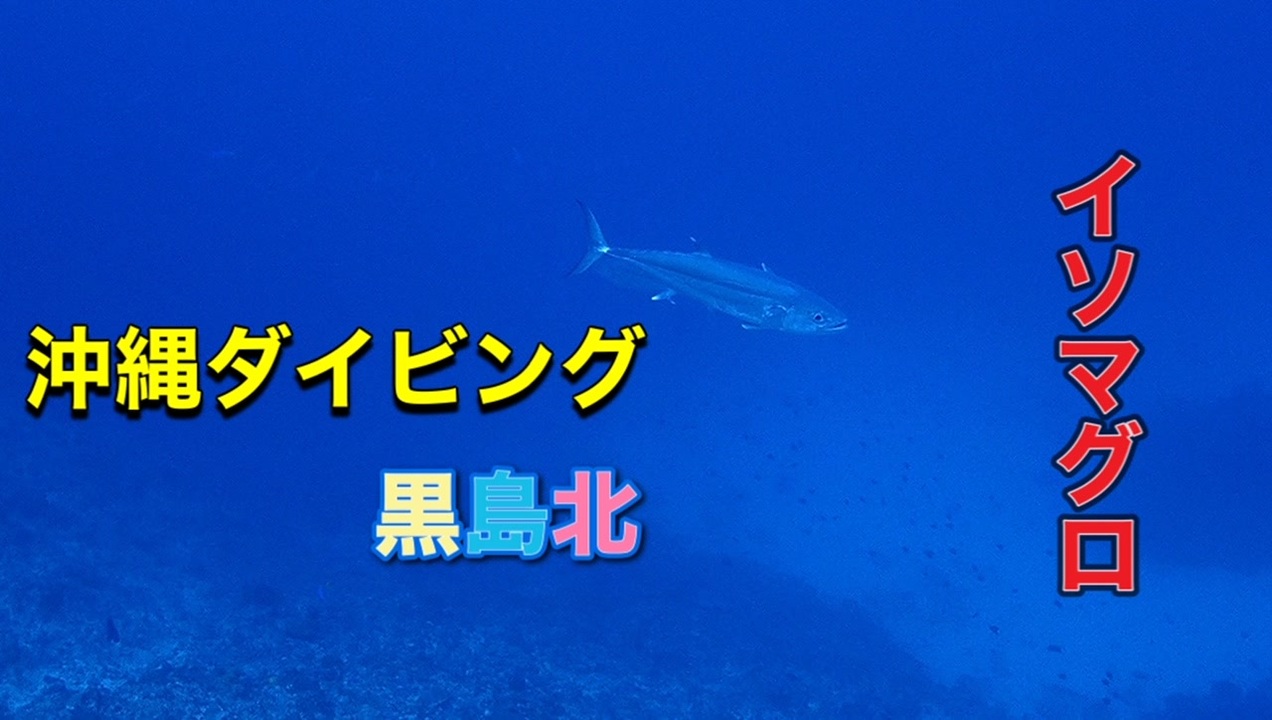 人気の 沖縄戦 動画 212本 2 ニコニコ動画