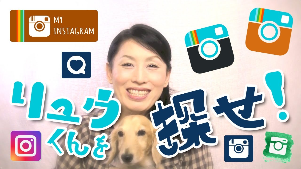 インスタグラム で動体視力テスト リュウくん ミニチュアダックス を探せ ニコニコ動画