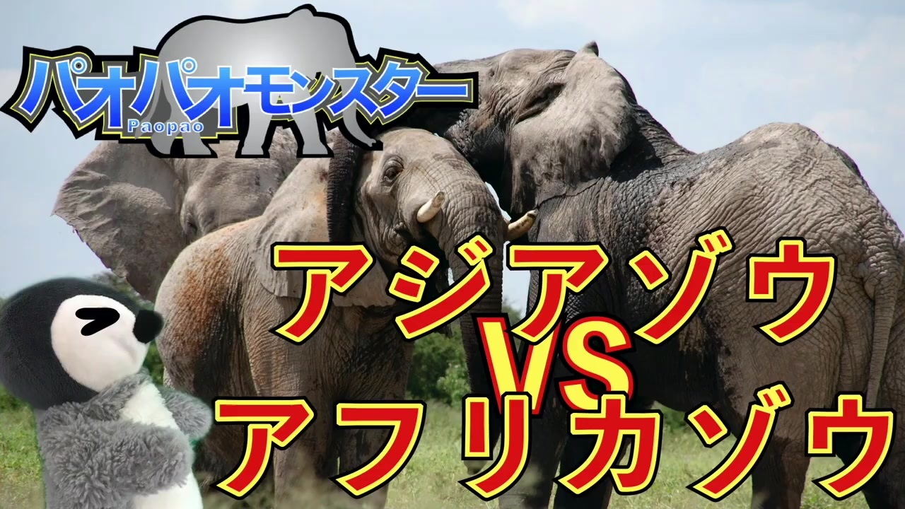 アジアゾウとアフリカゾウの違い8選 ゆっくり解説 ニコニコ動画