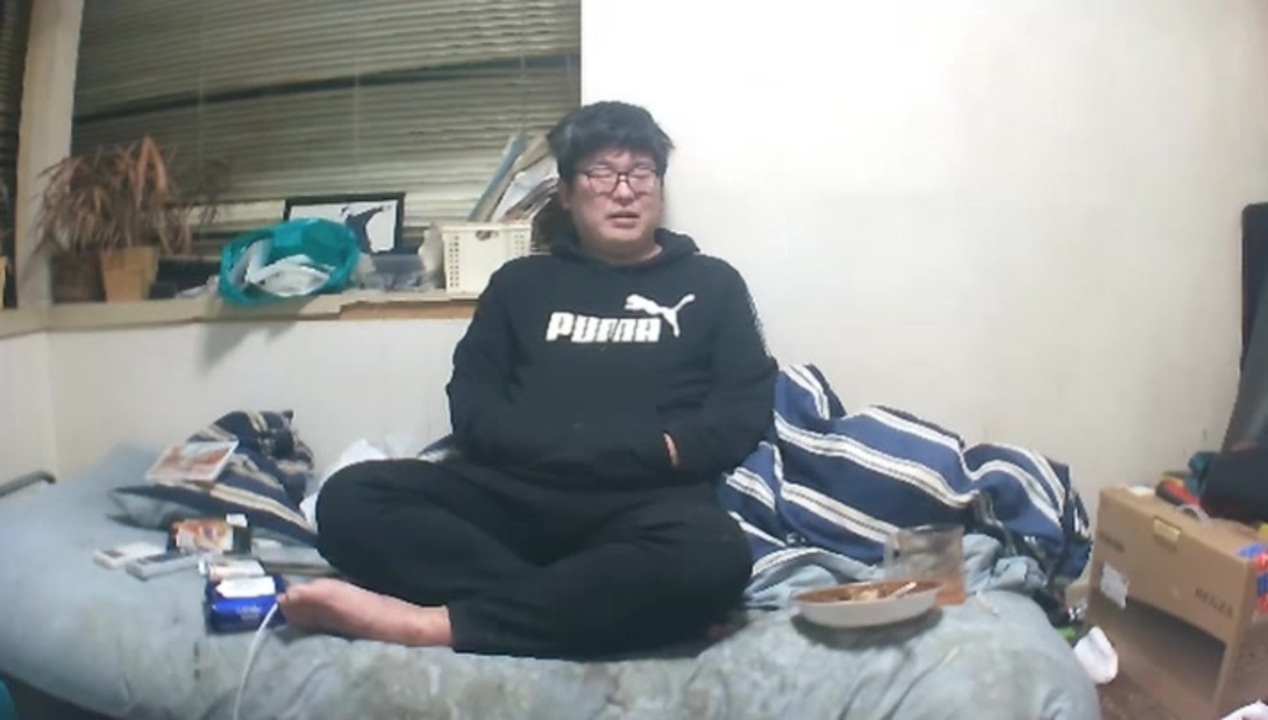 人気の さめちゃん 動画 43本 ニコニコ動画