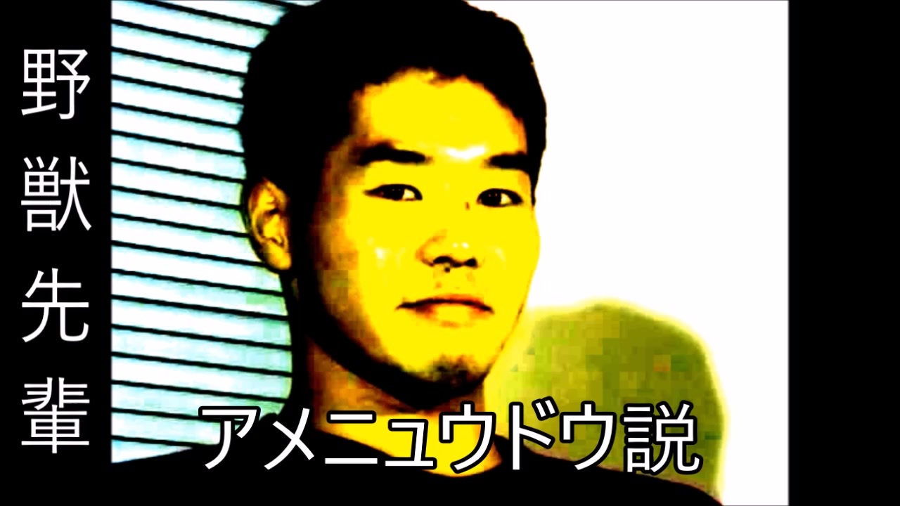 人気の アメニュウドウ 動画 43本 ニコニコ動画