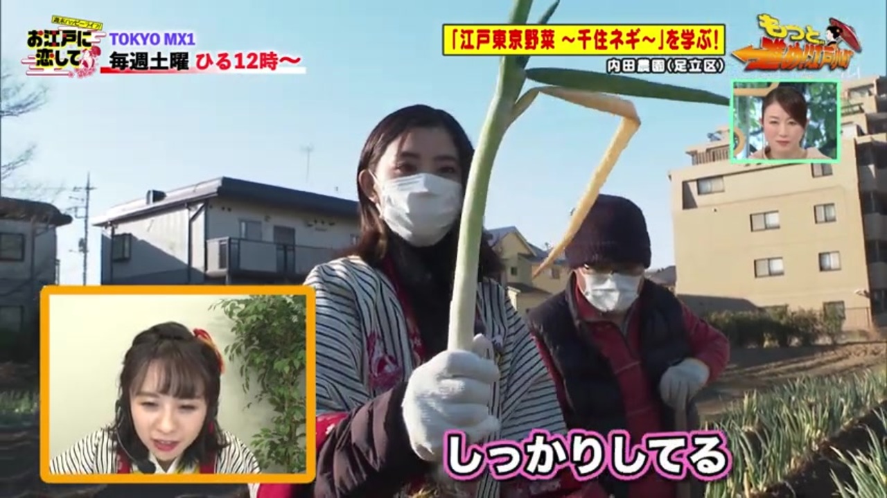 お江戸に恋して 江戸東京野菜第3弾 千住ネギ ニコニコ動画