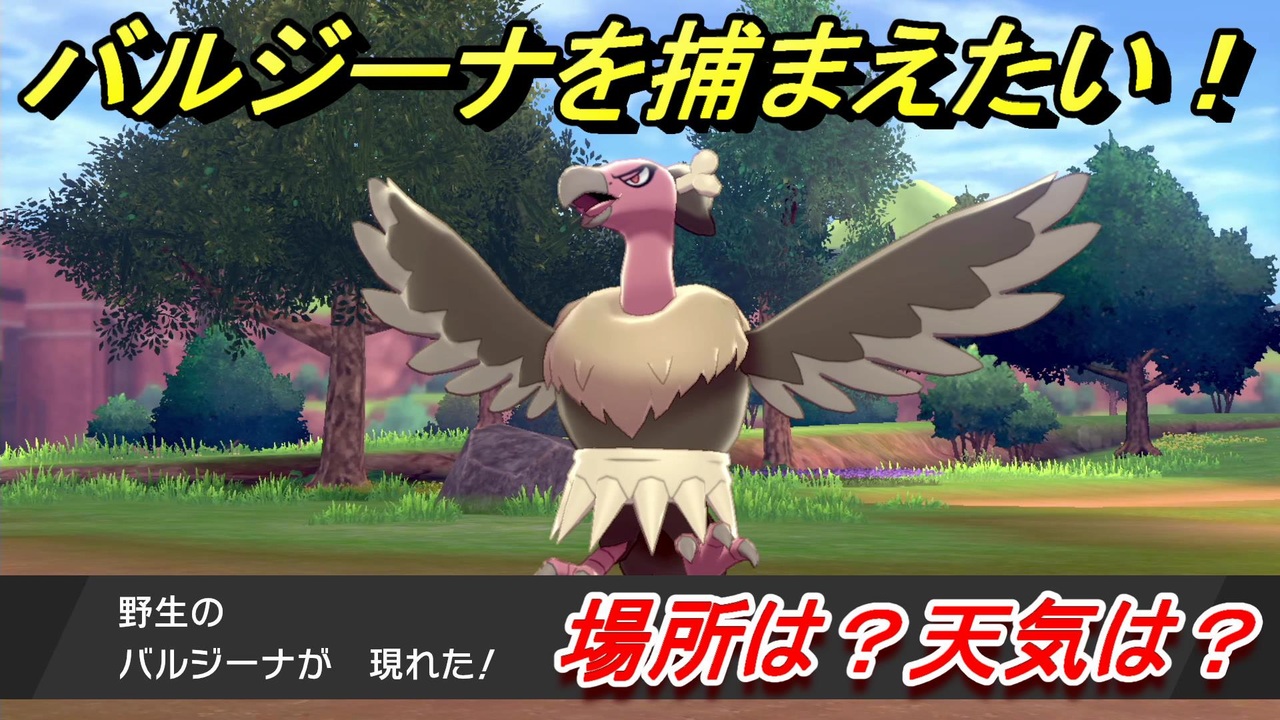 ポケモン剣盾 バルジーナを捕まえる方法 オススメの場所は 天気は ポケモン図鑑コンプへの道 ポケモンソード シールド ニコニコ動画
