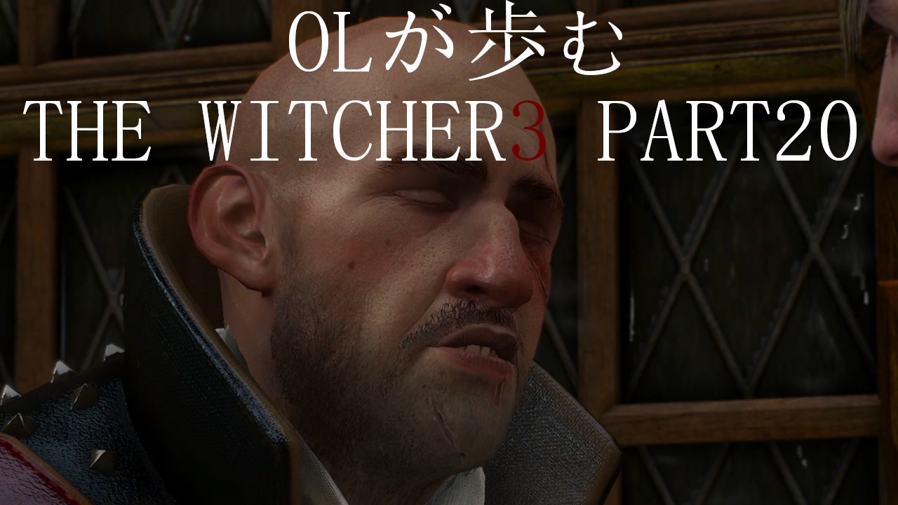 人気の Thewitcher3 動画 53本 ニコニコ動画