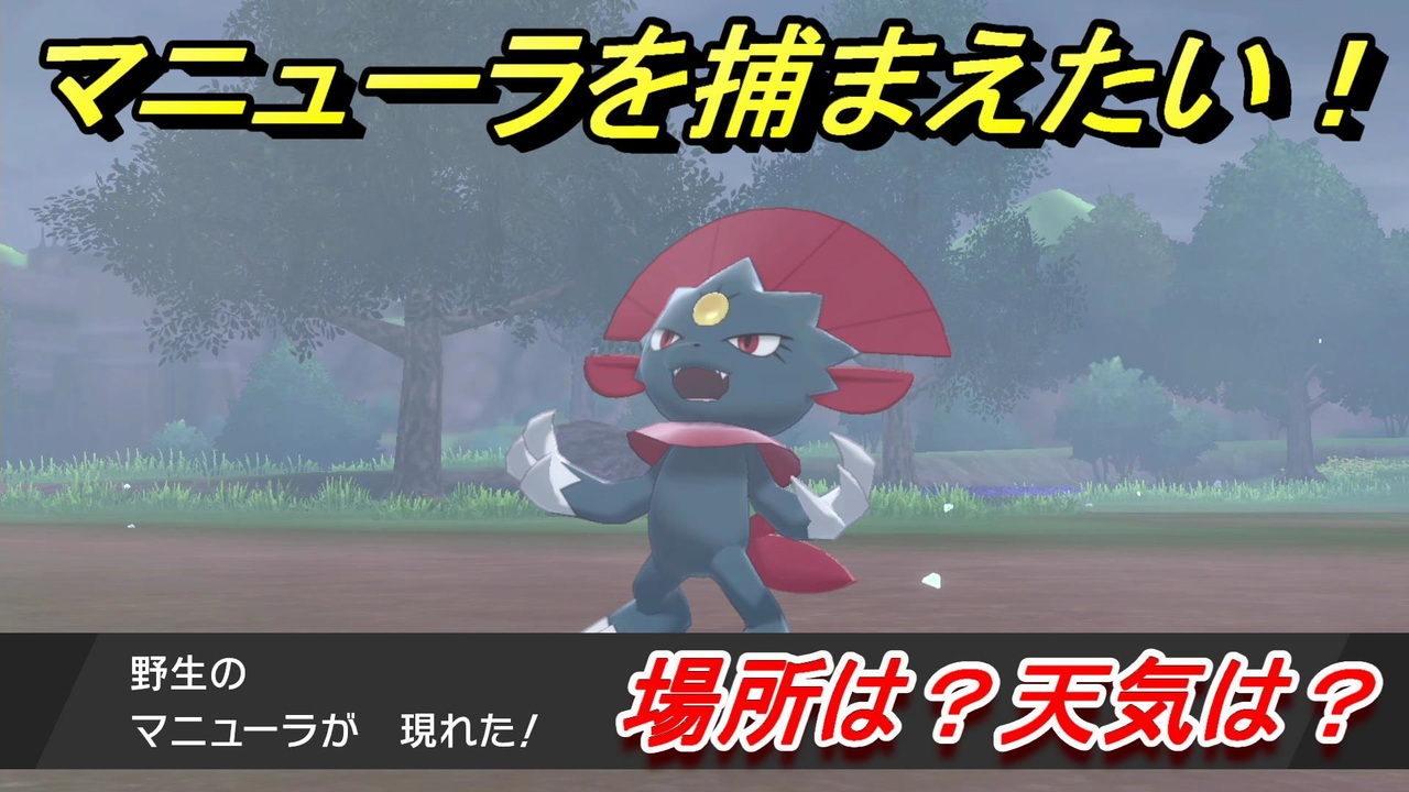 ポケモン剣盾 全500件 ミミッキュさんのシリーズ ニコニコ動画