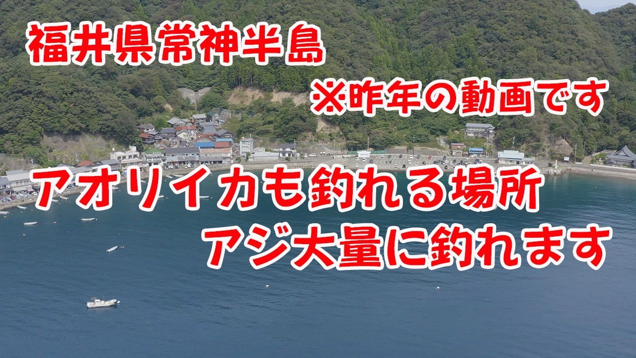 人気の 釣り動画 釣り 動画 965本 4 ニコニコ動画