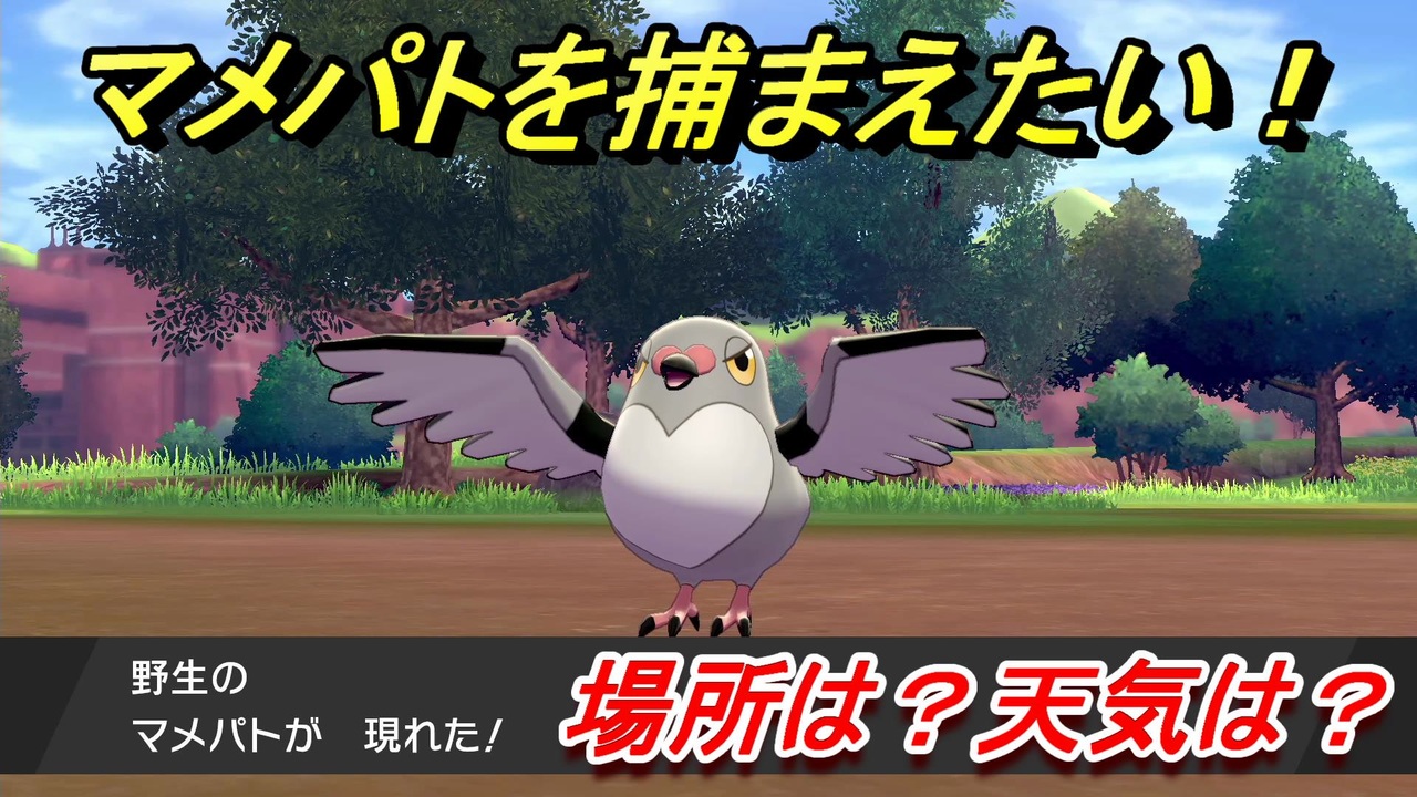 ポケモン剣盾 マメパトを捕まえる方法 オススメの場所は 天気は ポケモン図鑑コンプへの道 ポケモンソード シールド ニコニコ動画