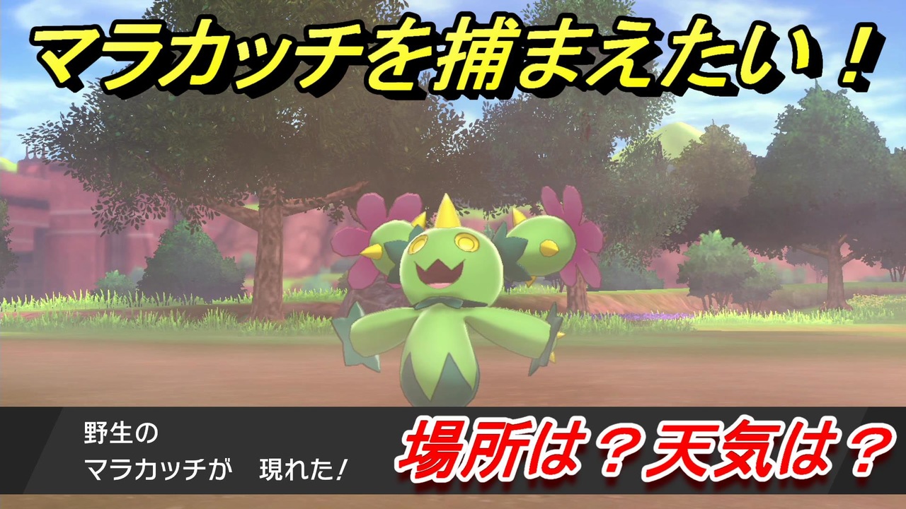 人気の ポケモン ゲーム 動画 329本 6 ニコニコ動画