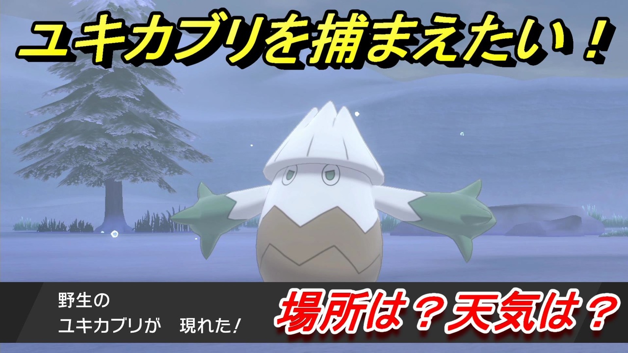 ポケモン剣盾 ユキカブリを捕まえる方法 オススメの場所は 天気は ポケモン図鑑コンプへの道 ポケモンソード シールド ニコニコ動画