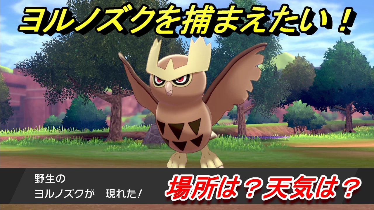 ポケモン剣盾 ヨルノズクを捕まえる方法 オススメの場所は 天気は ポケモン図鑑コンプへの道 ポケモンソード シールド ニコニコ動画