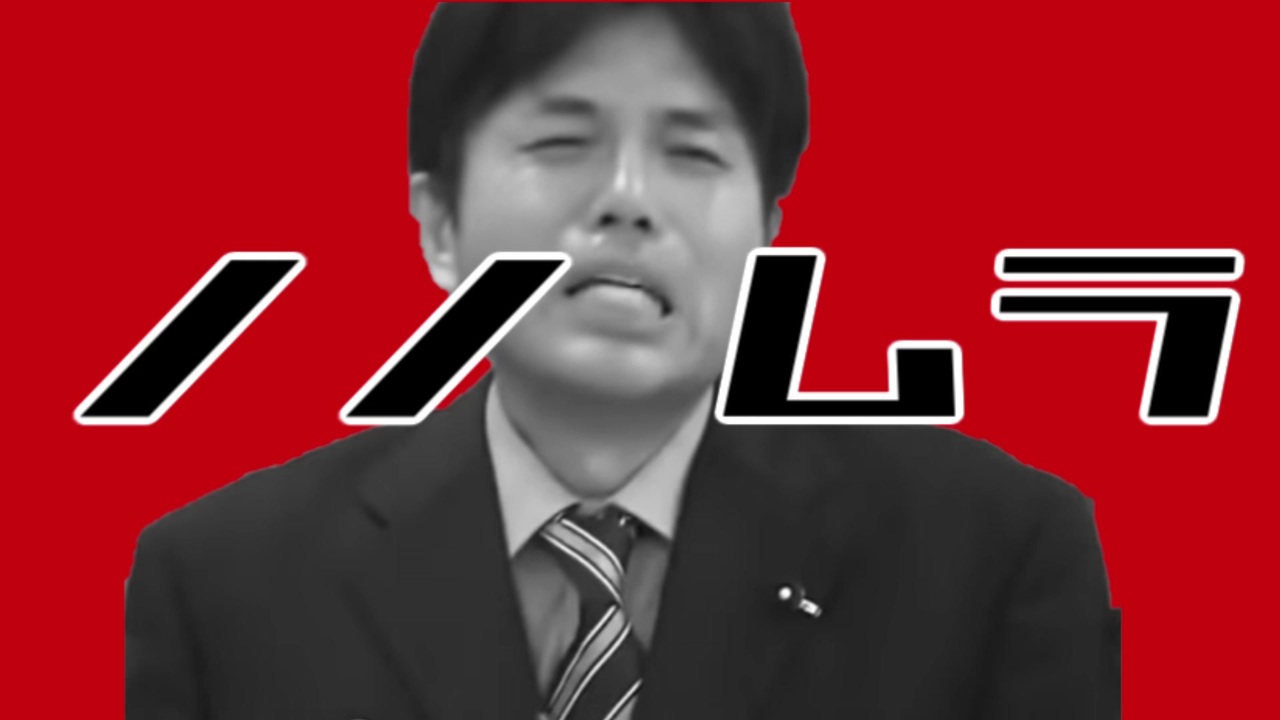 人気の 野々村竜太郎 動画 1 742本 ニコニコ動画