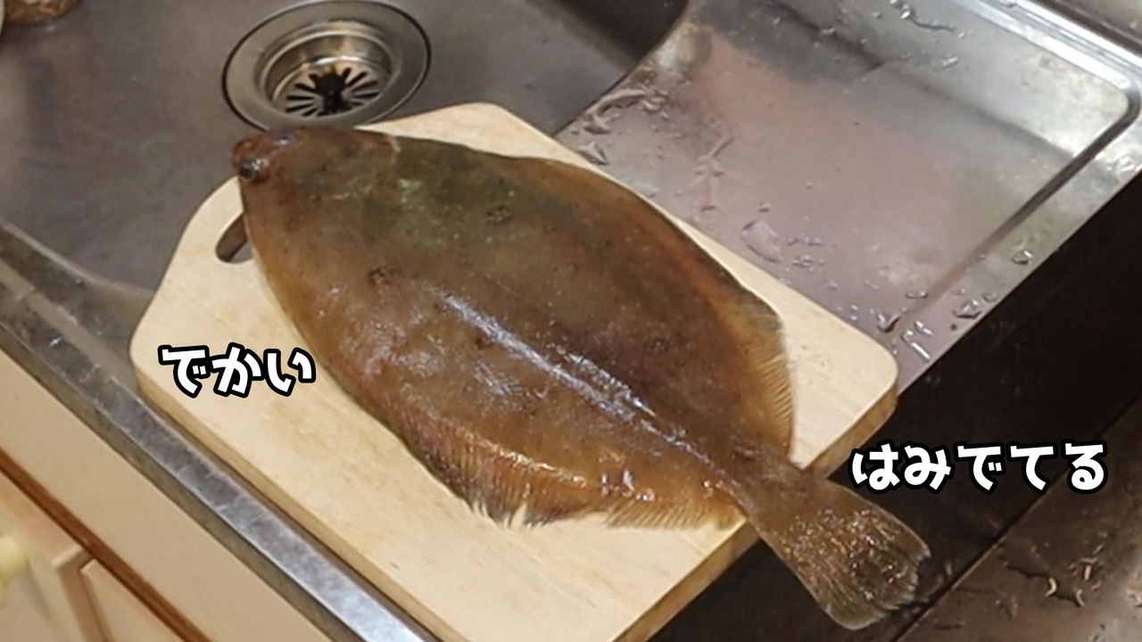 人気の カレイ 動画 87本 ニコニコ動画