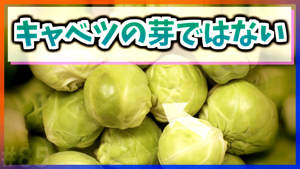 ゆっくり解説 芽キャベツはキャベツの芽ではない 今日の豆知識 ニコニコ動画