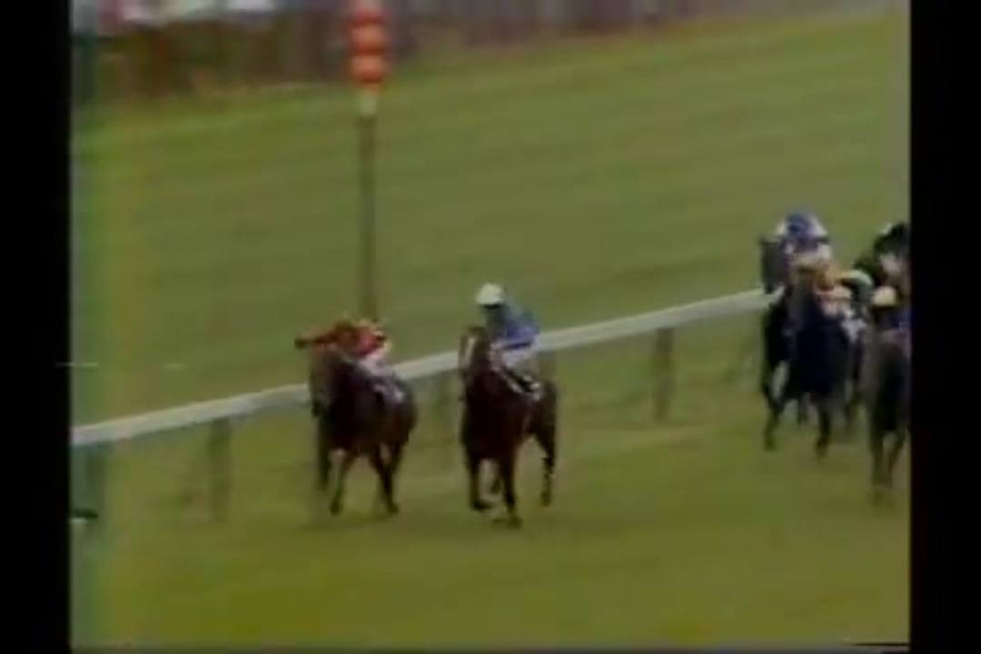 人気の 仏ダービー 動画 15本 ニコニコ動画