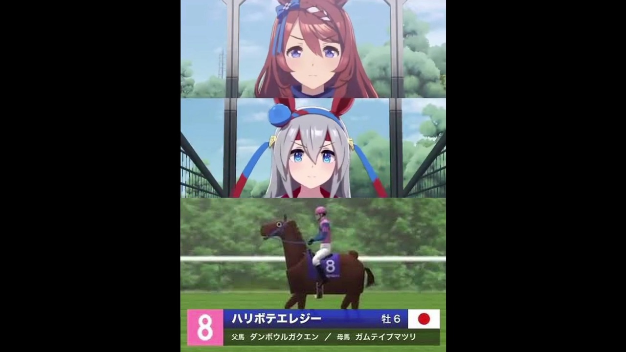 ウマ娘 ウマ娘のレースにカオス競馬実況を当ててみた ハリボテエレジー Jra実況 ニコニコ動画