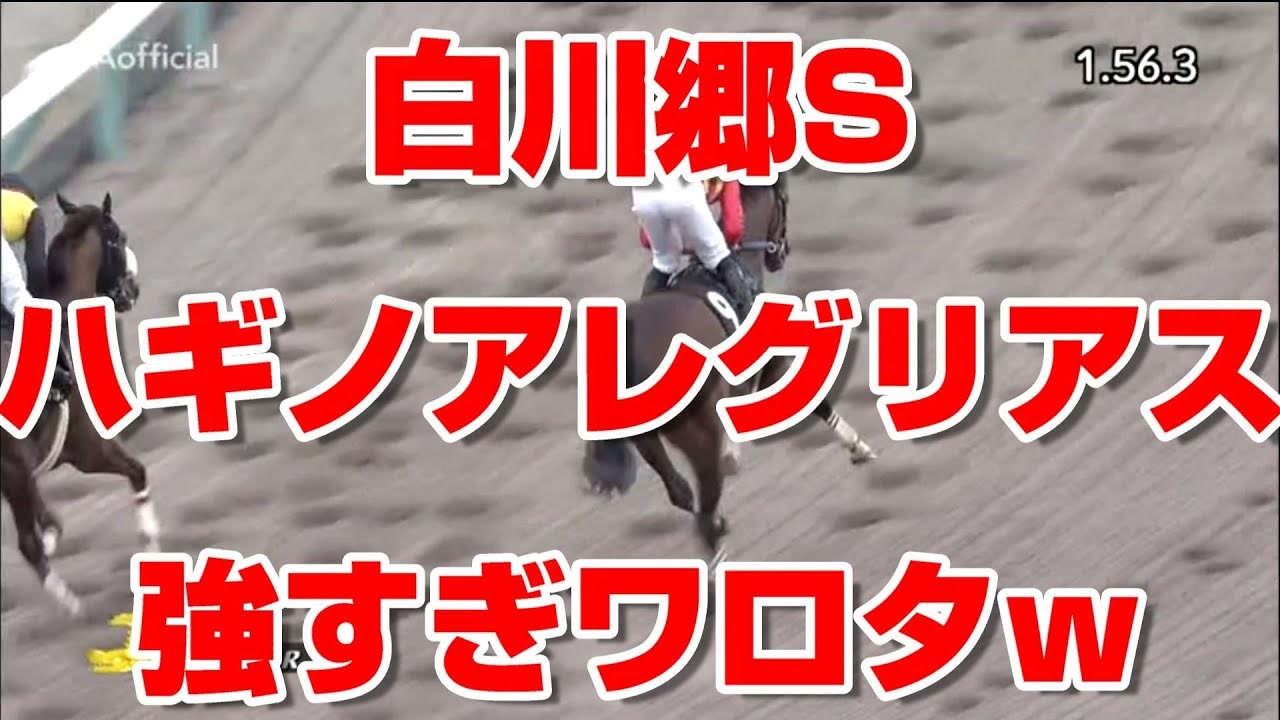 競馬予想tv ハギノアレグリアス 強すぎワロタｗ 白川郷s 結果 1 56 3 岩田 望来 3歳ダート中距離の新星登場 競馬場の達人 競馬魂 武豊tv ニコニコ動画