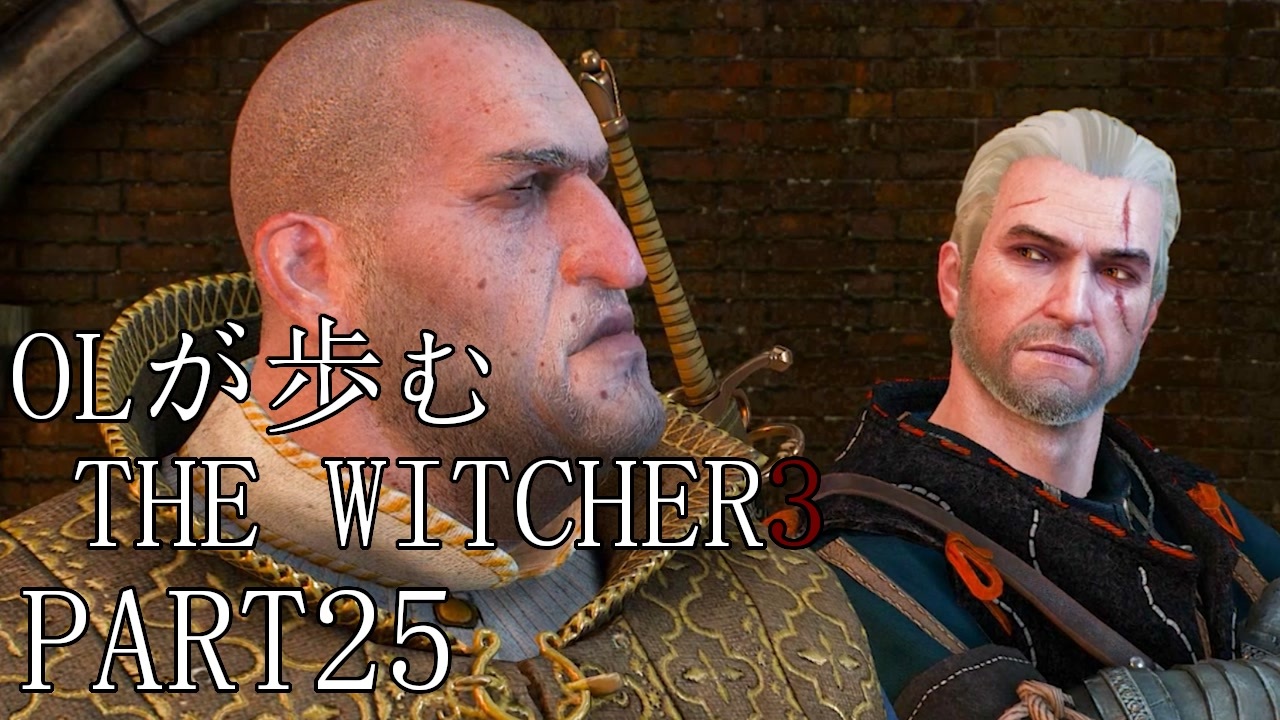 人気の Thewitcher3 動画 53本 ニコニコ動画