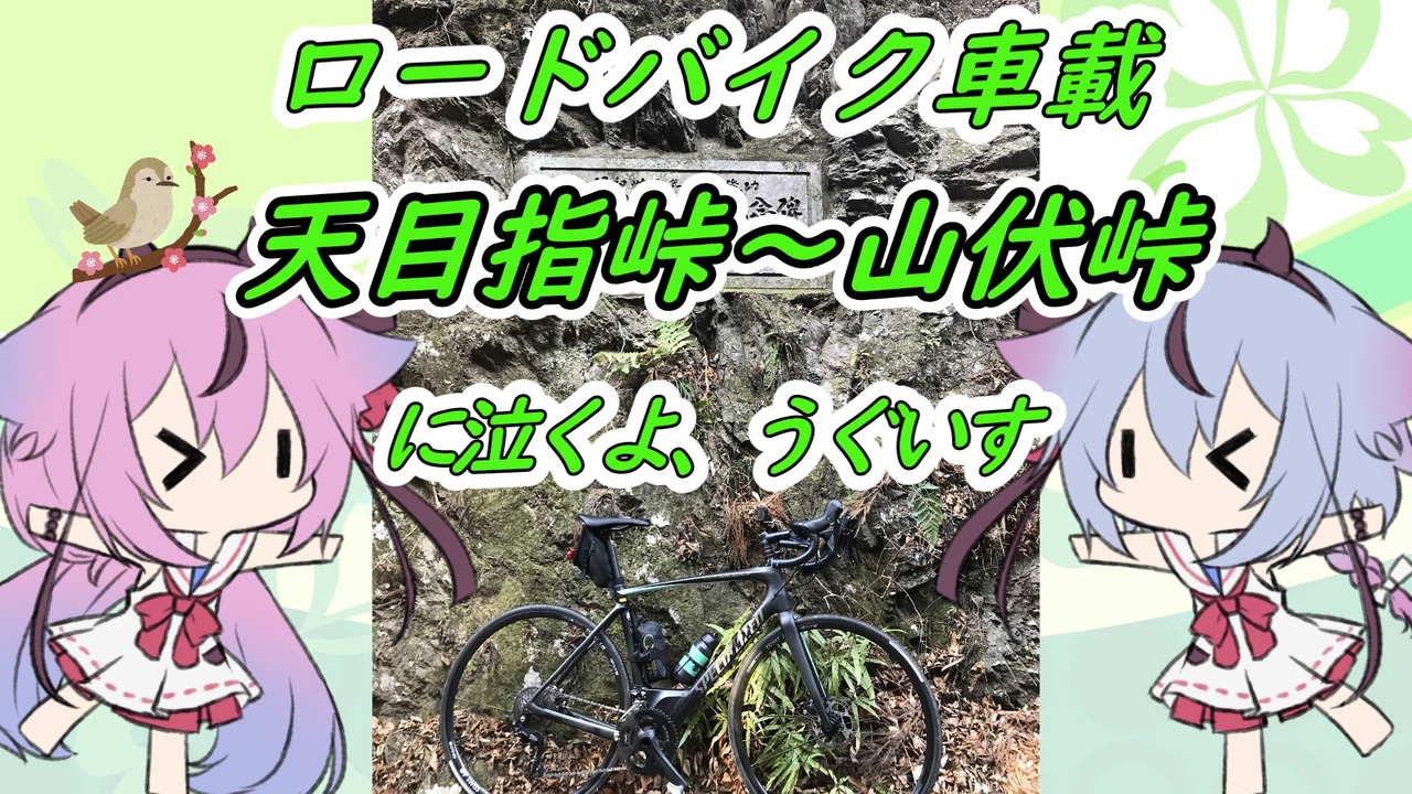 ロードバイク車載 天目指峠 山伏峠に泣くよ うぐいす 鳴花ヒメ ミコト ニコニコ動画