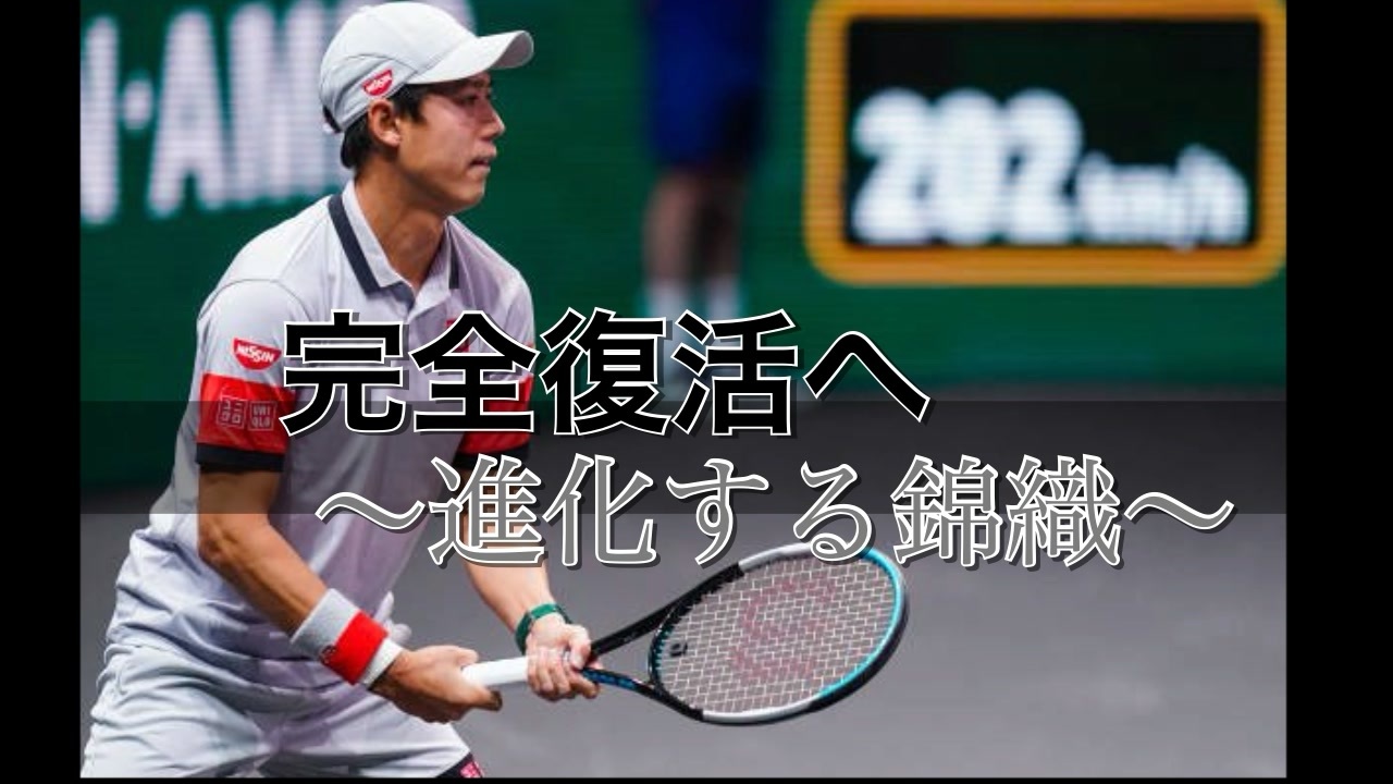 テニス分析 錦織圭の新スタイルを徹底分析 目指すはフェデラー 錦織圭 Vs デミノー ニコニコ動画