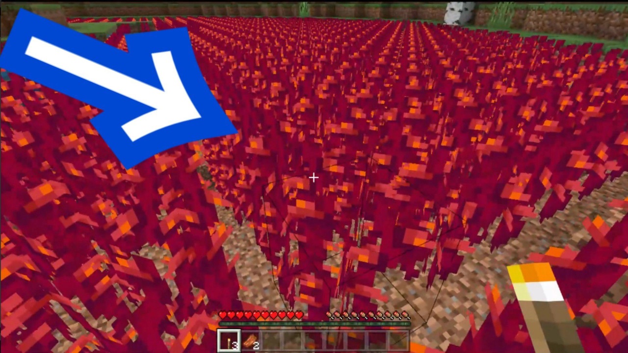 全プレイヤーを苦しめた悪魔のバグに遭遇した Minecraft 統合版 2b2e ニコニコ動画