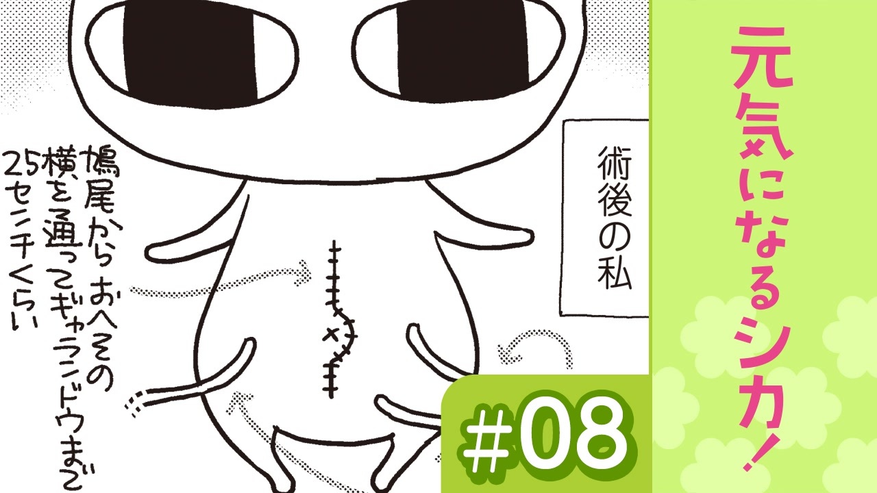 漫画 手術後の変化と手術痕 元気になるシカ 8 がん闘病記 ニコニコ動画