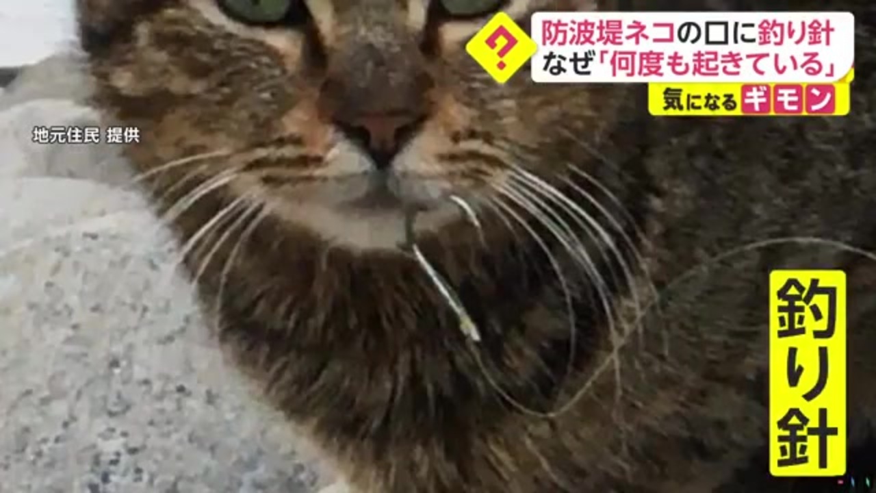 人気の 動物レスキュー 動画 128本 ニコニコ動画