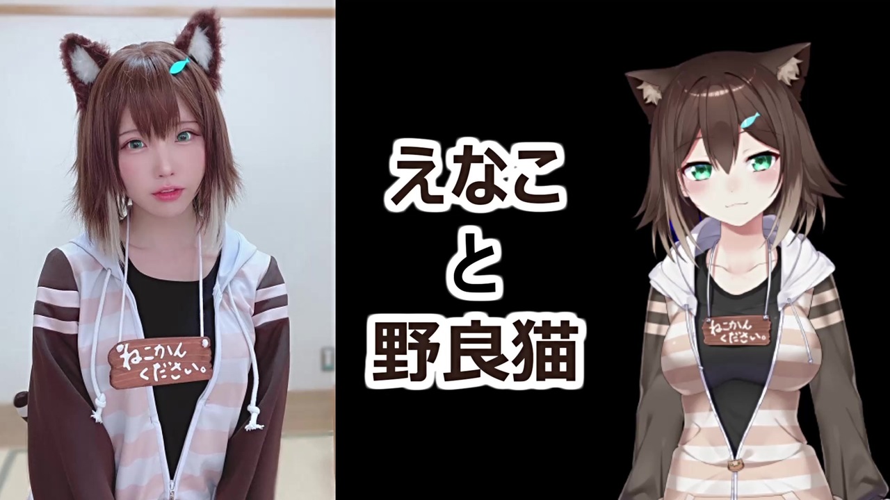 えなこと野良猫 にじさんじ文野環 ニコニコ動画