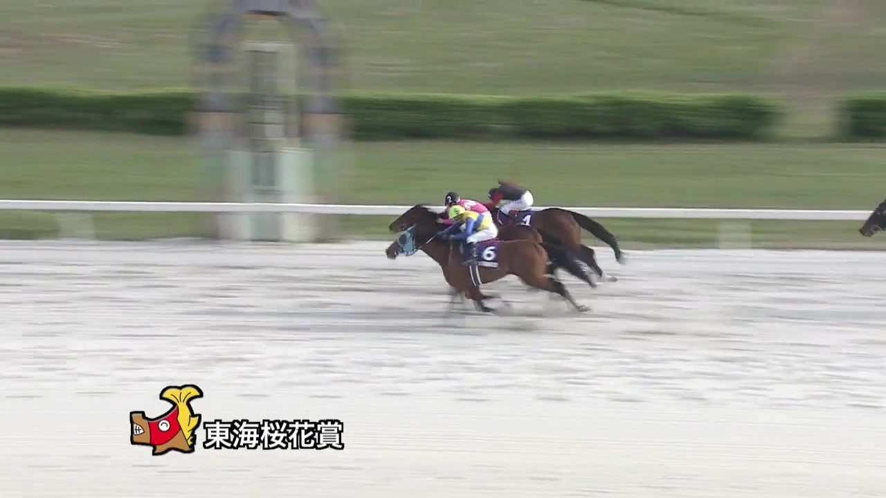 第61回東海桜花賞 トーセンレビュー ニコニコ動画