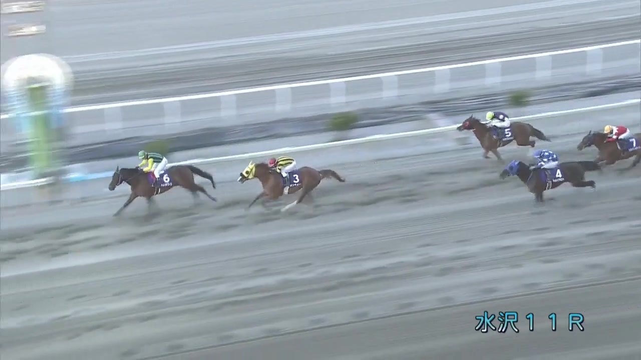 人気の 競馬 競馬 動画 380本 3 ニコニコ動画