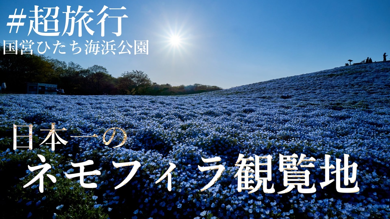 人気の 国営ひたち海浜公園 動画 26本 ニコニコ動画