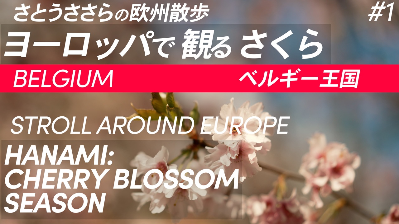 人気の べるぎー 動画 561本 4 ニコニコ動画