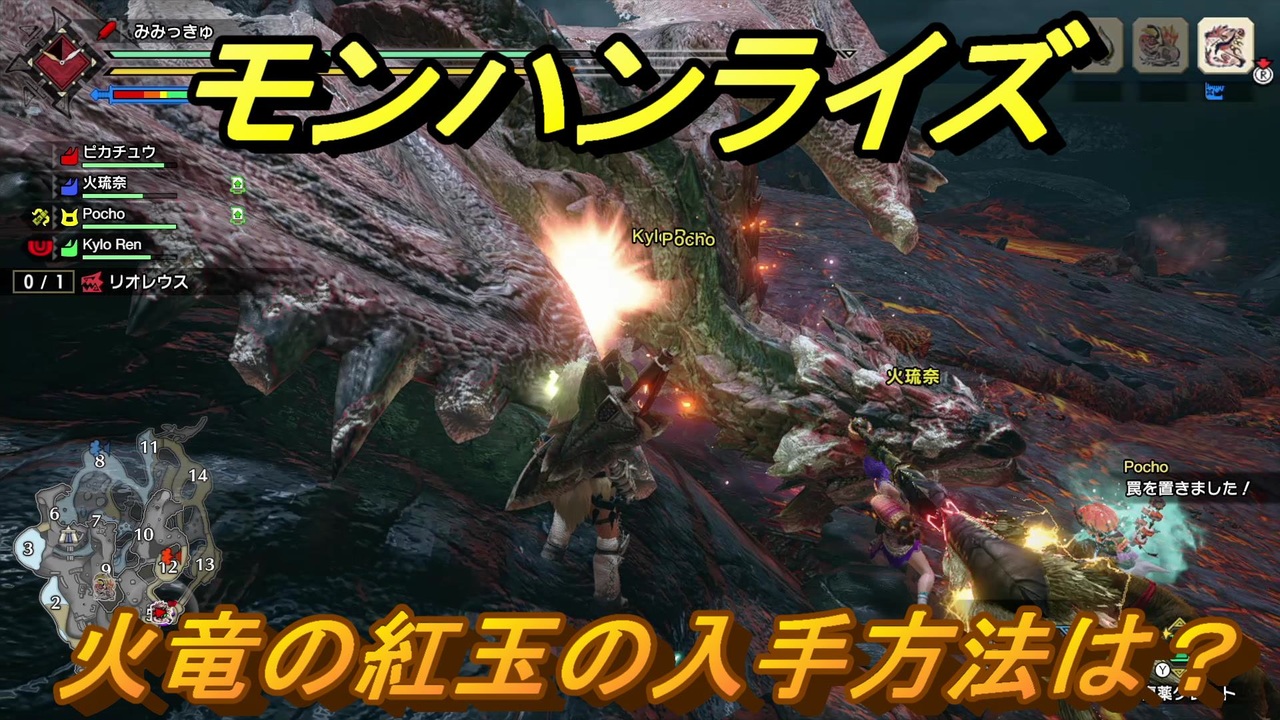 火竜の紅玉 Mhxx