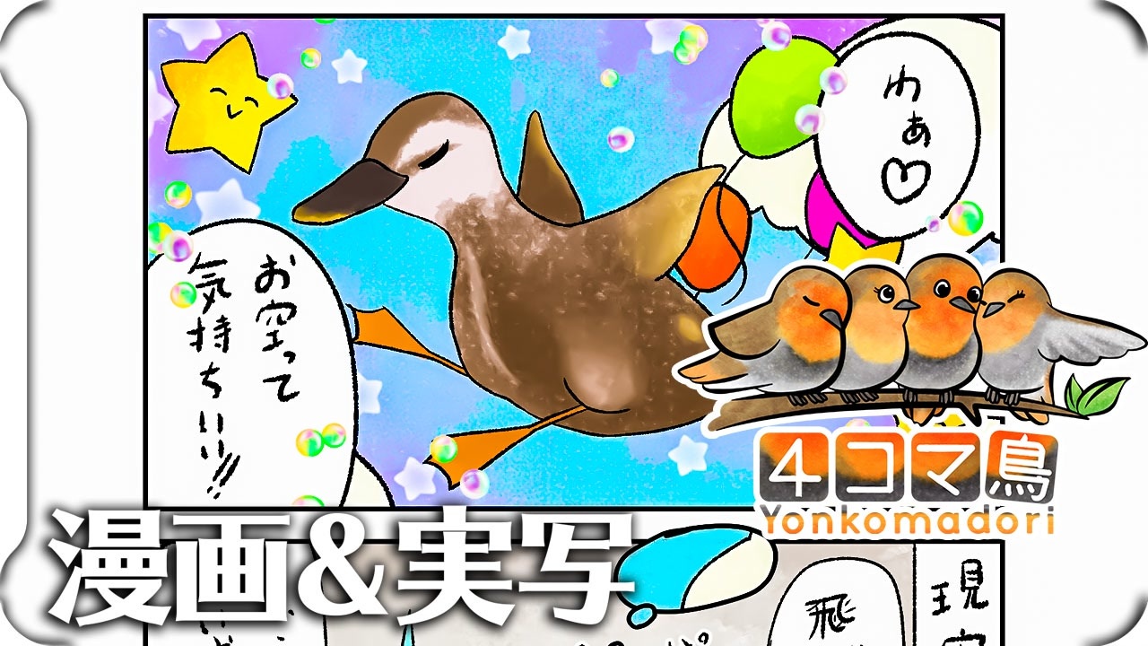 カルガモ親子の雛鳥が 気持ちは飛んでる 4コマ鳥漫画 ニコニコ動画