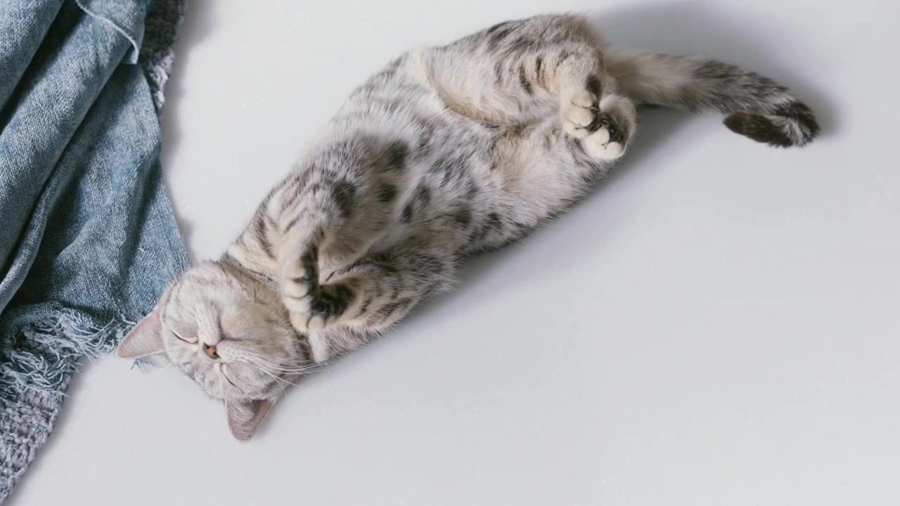 トゥルースリーパー プレミアケア Cm ニコニコ動画