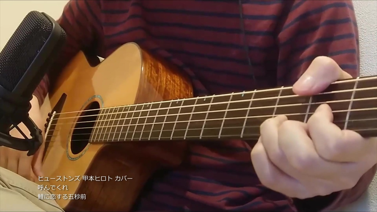 ヒューストンズ 甲本ヒロト カバー 呼んでくれ 鯉に恋する五秒前 ニコニコ動画