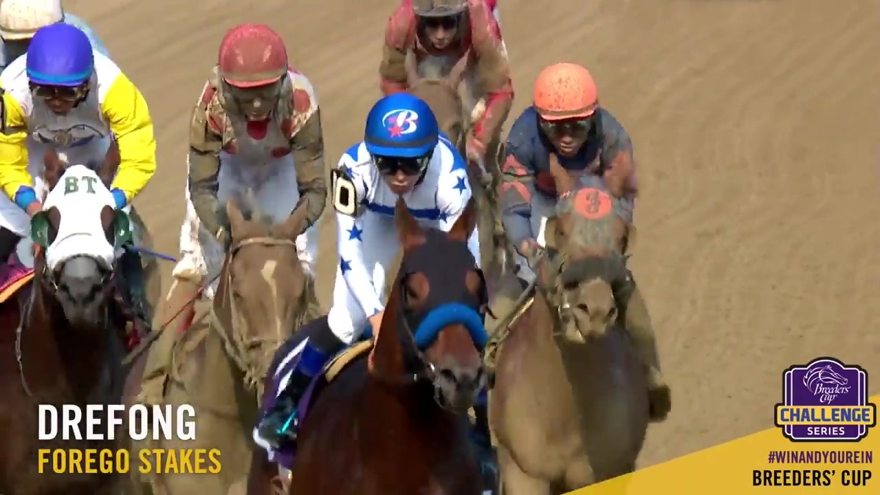 【競馬】2017 フォアゴーS ドレフォン ニコニコ動画